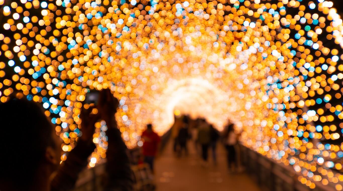 Things to do in Cornwall & Devon this Christmas | Perfect Stays