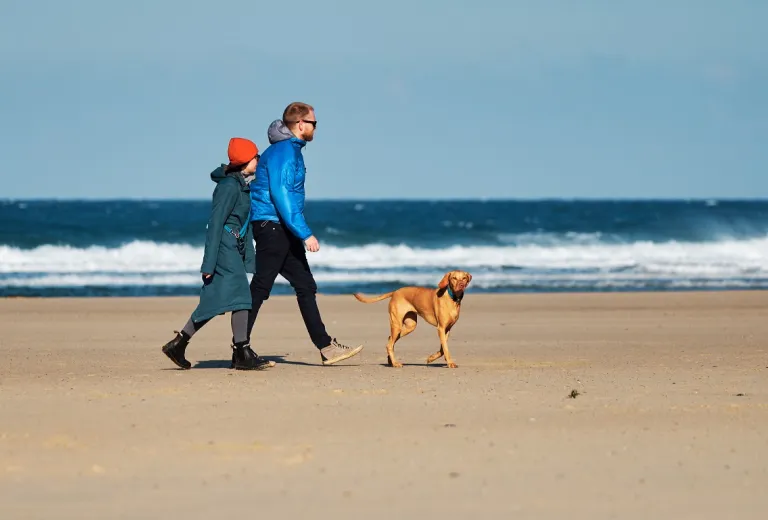 Two people wrapped up in winter coats walking their dog along a quiet beach.