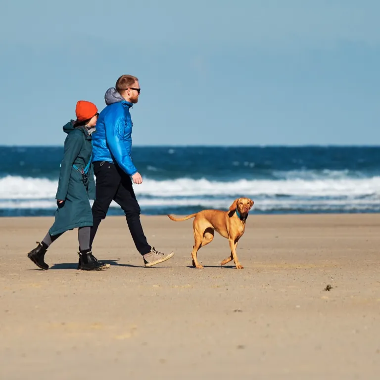 Two people wrapped up in winter coats walking their dog along a quiet beach.
