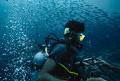 harlyn-dive.jpg
