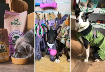 dog-friendly-shops-cornwall (2).jpg