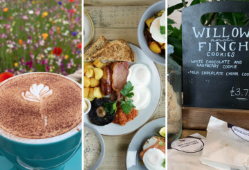 Hog and Hedge (2).png