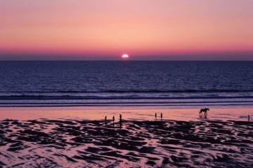 blow-away-cobwebs-walks (7).jpg