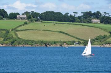 Boats_in_the_Helford_River_near_Bosahan_Cove_(8593).jpg