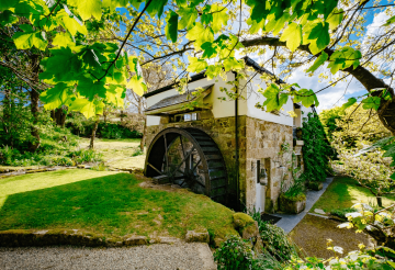 A countryside home surrounded by flowers and trees, with a working watermill