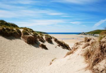 The Bowgie Inn (2).jpg