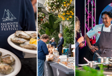 falmouth-oyster-festival-1.png