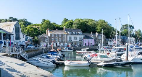 2024 - blog header - dog-friendly shops.jpg