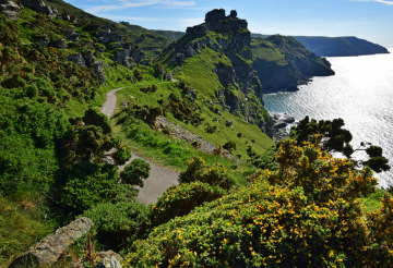 4. Valley of Rocks woodland walk - Mark.png