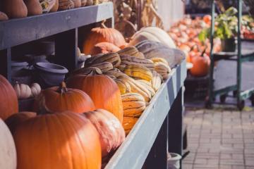 family-friendly-restaurants-6.jpg
