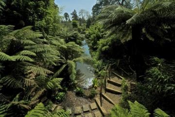 lost-gardens-of-heligan.jpg