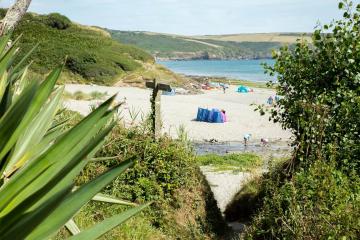 roseland-south-cornwall.jpg