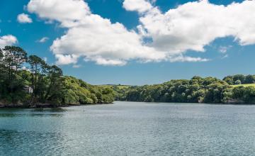 secret-cornwall-1-steeljam.jpg