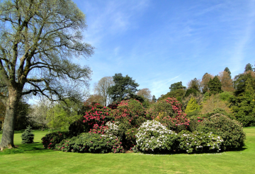 Killerton (2).png