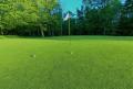 treloy-golf-club.jpg