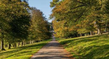 walk-cycle-cornwall-perfect-stays.jpg