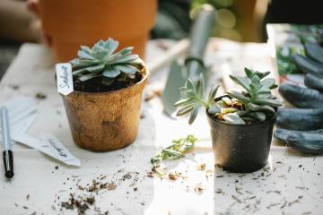 balcony-gardening-2.jpg