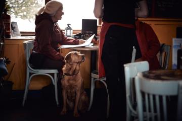 5. Use for Wet Dog Pizza Co.jpg