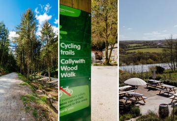 A three-part collage: on the right, a woodland with a fine gravel track. In the centre, a close up of a sign depicting cycling trails and woodland walk routes. On the right, four wooden picnic benches