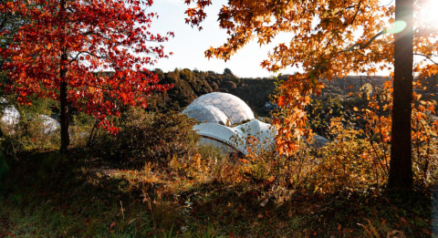 unmissable-south-west-festivals-for-october-half-term (2).png