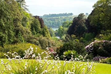 trebah-gardens.jpg