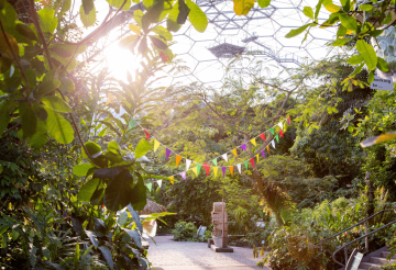 Inside the biomes at The Eden Project in North Cornwall