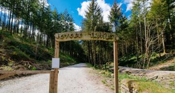 discover-cardinham-perfect-stays.jpg