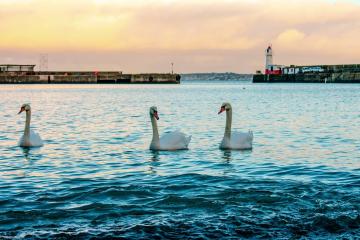 newlyn-2-west-coast.jpg