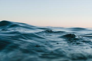 cornish-boat-trips-4.jpg