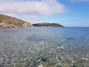 Wild Swimming at Goldiggins Quarry, Cornwall 