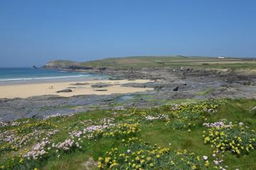 Boobys Bay - Simon Lewis Flickr.jpg
