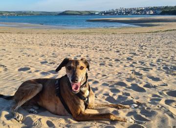 daymer-bay-2-resized.jpg