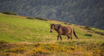 summer-somerset-perfect-stays3.jpg