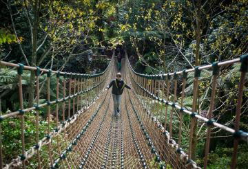 family-friendly-activities-in-cornwall-this-autumn (1).jpg