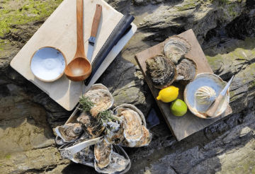 Oysters, lemons and limes positioned against a rockpool