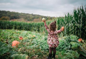 family-friendly-activities-in-cornwall-this-autumn (6).jpg