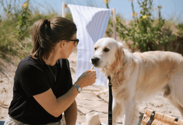 the instow arms (2).png