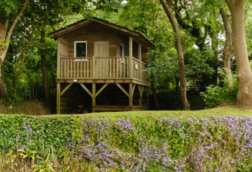 Weekend at Pentyak-treehouse.png