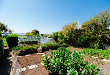 Edible landscaping (2).png