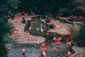 paradise-park-wildlife-sanctuary.jpg