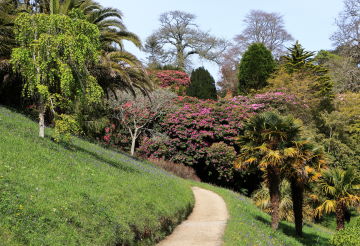 Glendurgan (2).png