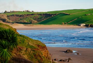 devon-images-1.png