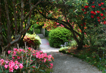 Trengwainton (2).png