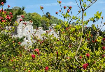 Caerhays Castle with trees and flowers in the foreground.