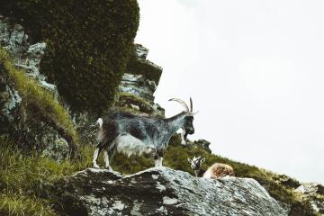 valley-rocks-walk.jpg