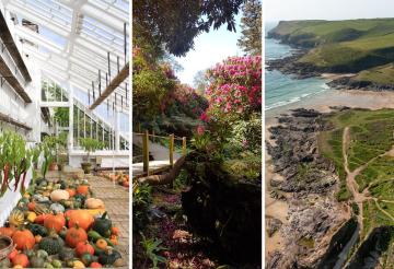 A three-part collage: On the left, a greenhouse filled with pumpkins, squash, and hanging peppers. In the middle, a lush garden path surrounded by vibrant pink rhododendron bushes and shaded by large