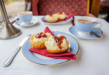 South Devon Railway 2.png