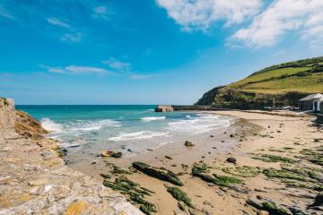dog-friendly-beaches (5).jpg