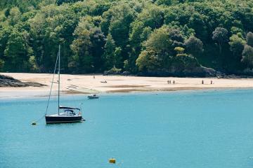 salcombe-location.jpg