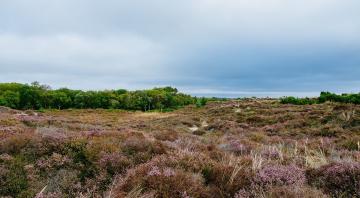 12-reasons-studland-perfect-stays8.jpg